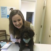Dayton Animal Clinic - Dayton, VA - Our assistant, Manette Dayton Animal Clinic - Dayton, VA - Our assistant, Manette