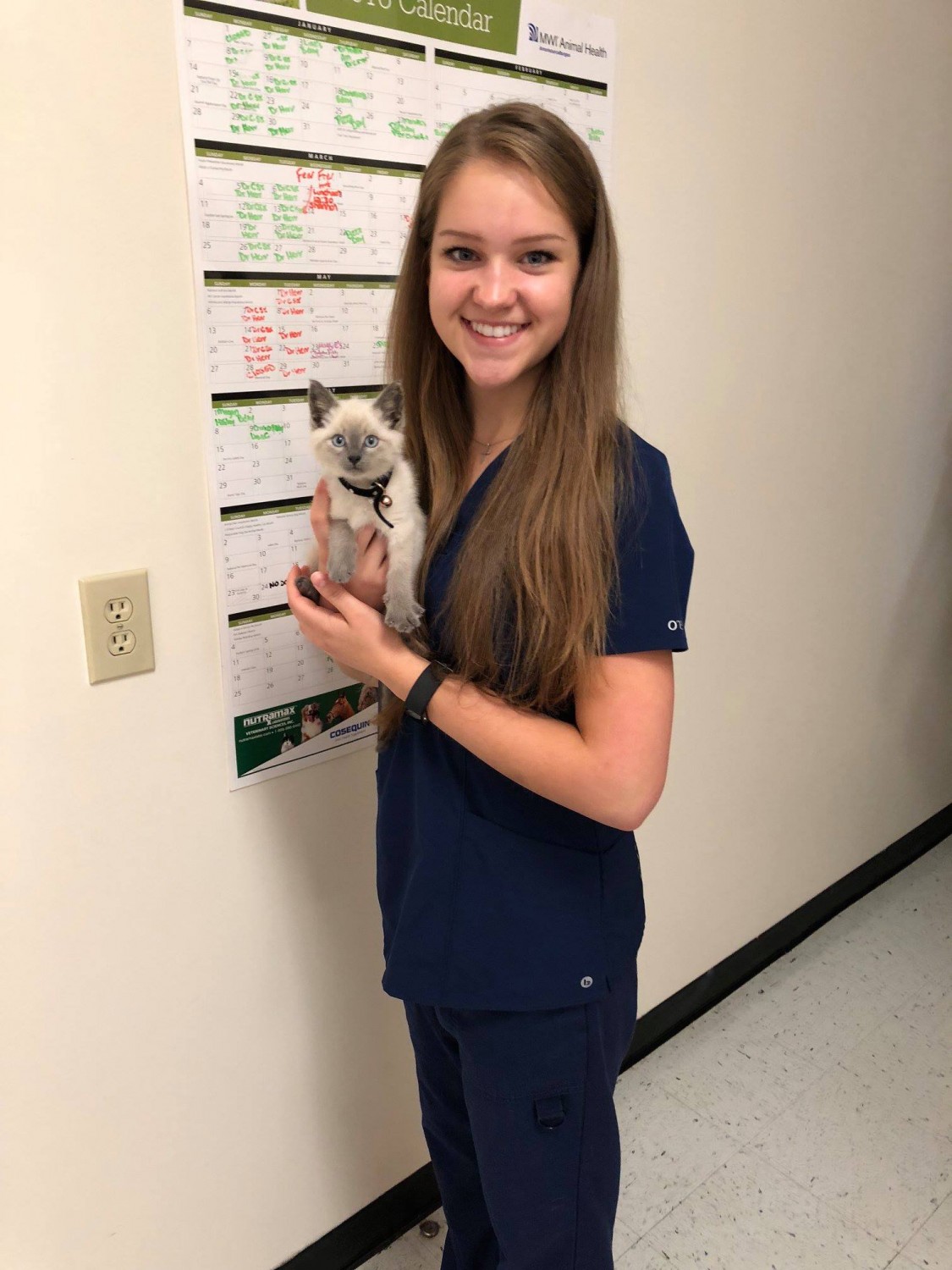 Dayton Animal Clinic - Dayton, VA - Our assistant, Brittany Dayton Animal Clinic - Dayton, VA - Our assistant, Brittany