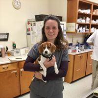 Dayton Animal Clinic - Dayton, VA - Our assistant, Brittany Dayton Animal Clinic - Dayton, VA - Our assistant, Brittany