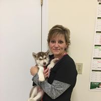Dayton Animal Clinic - Dayton, VA - Our assistant, Manette Dayton Animal Clinic - Dayton, VA - Our assistant, Manette