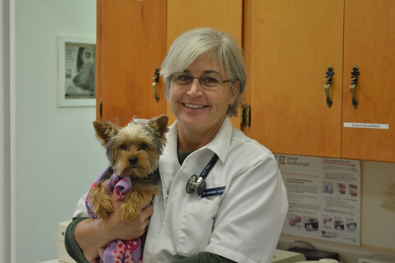Dayton Animal Clinic, Dayton, VA, Dr. Rhonda Herr, DVM