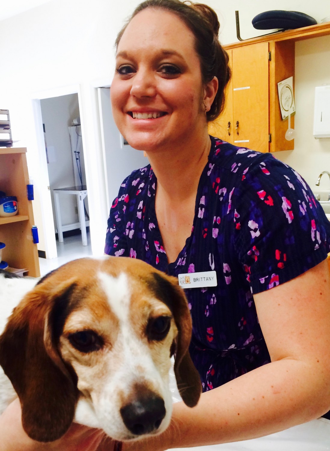 Dayton Animal Clinic - Dayton, VA - Our assistant, Brittany Dayton Animal Clinic - Dayton, VA - Our assistant, Brittany